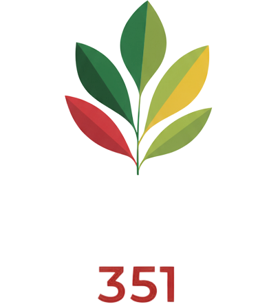 Ybyeté 351
